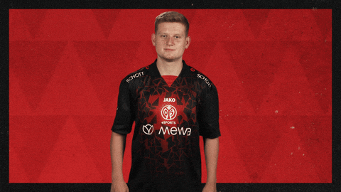Mainz 05 Hello GIF by Bundesliga