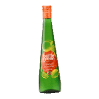 ShloerBGRocks cordial dashofextraordinary bottlegreen orangeandlemon Sticker