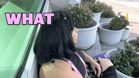 What Did I Do GIF