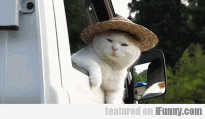 goodbye GIF