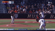 BeaverBaseball baseball ncaa oregon state GIF