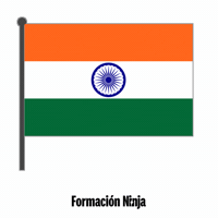 India Flag GIF by Formación Ninja
