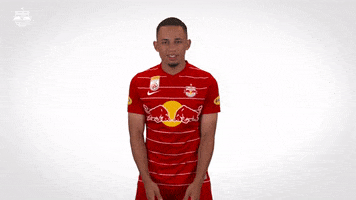 Red Bull Dancing GIF by FC Red Bull Salzburg