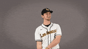 Cal State La Baseball GIF by Cal State LA Golden Eagles