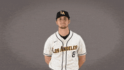 Cal State La Baseball GIF by Cal State LA Golden Eagles
