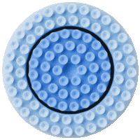 Lumispaio Sticker by Nu Skin