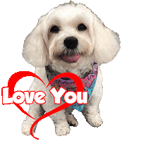 Love You Sticker by Pimp Yo Pets