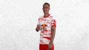 Champions League Football GIF by RB Leipzig