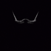 france art GIF by SDRNSDRN