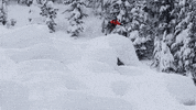 espn snow GIF by X Games 