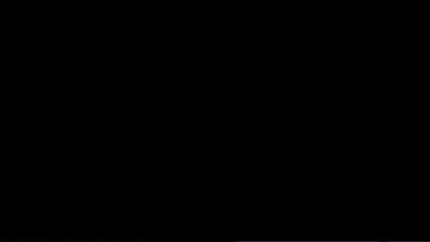 crowpow223 giphygifmaker GIF