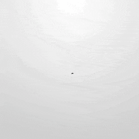 Vegan Particles GIF by Vegan-Supps