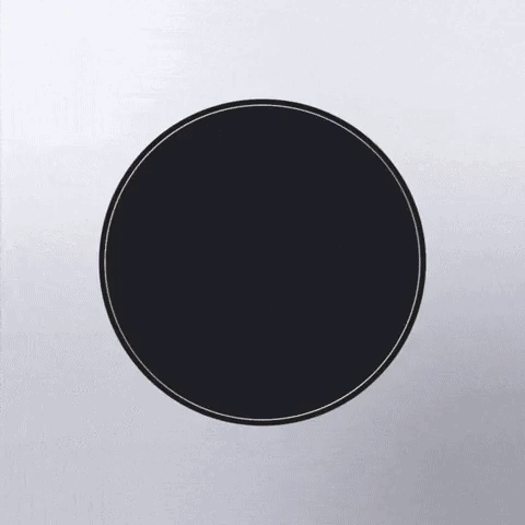 My Pride Is Intersectional