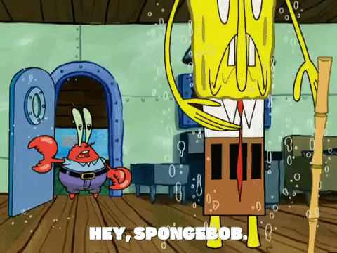 season 5 new digs GIF by SpongeBob SquarePants