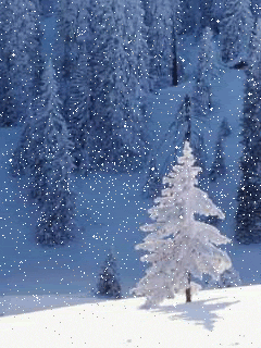 Digital art gif. A white snow-covered Christmas tree stands out in a field of other snowy trees.
