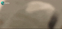 War Love GIF by Zee Cinema Channel