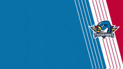 ThunderbirdsAHL overtime thunderbirds tbirds springfieldthunderbirds GIF