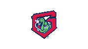 Sticker by Gwinnett Stripers