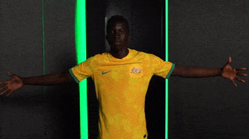 World Cup Sport GIF by Football Australia