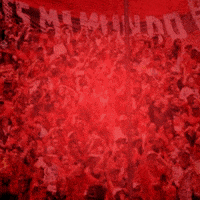 Futbol Ganamos GIF by PilsenerEC