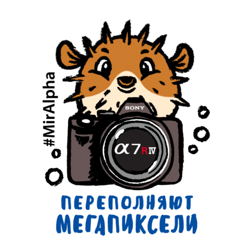 A9 Фотограф Sticker by Sony Россия