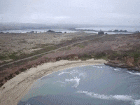 ucdavismarinescience beach ocean coast ucdavis GIF