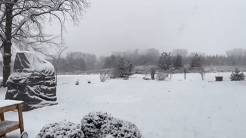 Moderate Snow Storm Creates Wintry Scenes in Wisconsin