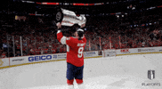 Stanley Cup Playoffs Win GIF by NHL