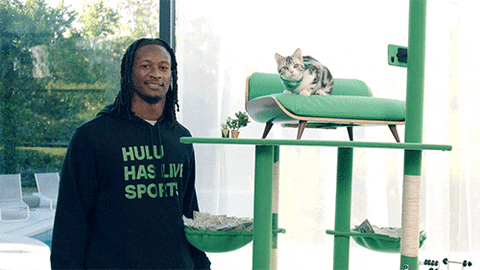 Todd Gurley Cat GIF by HULU