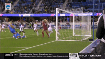 gostanford  GIF