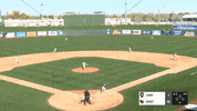 BeaverBaseball baseball oregon state GIF