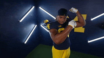 Go Blue College Football GIF by Michigan Athletics