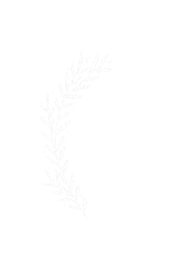 Christmas Design Sticker