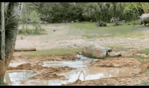 lesleywake giphyupload GIF