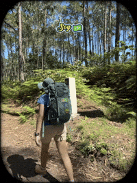Camino De Santiago Peregrina GIF by ElCaminoParaLatinos