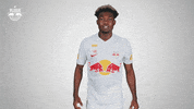 Football Sport GIF by FC Red Bull Salzburg