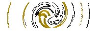 thisisgoldentouch goldentouch Sticker