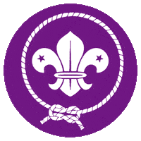 Flor Mallorca Sticker by MEGM