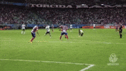 bahia GIF by SE Palmeiras