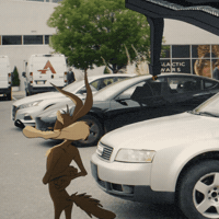 CoyoteACMEMovie piano looney tunes destruction will forte GIF