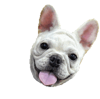 Party Cutie Sticker
