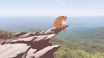 Dogwithacomputer art dog nature vibes GIF