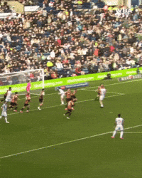 West Brom Price GIF by West Bromwich Albion