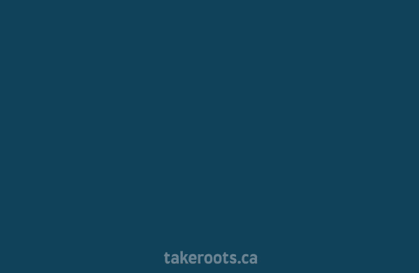 You Got This GIF by Take Roots Consulting
