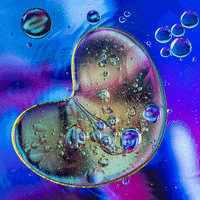 Heart Beat Love GIF by ANTONZA