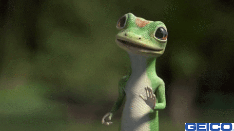 Laugh Lol GIF by GEICO