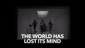 The World Wtf GIF by Larkins