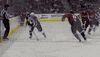 fly flying GIF by Capitals