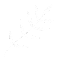 Leaf Sticker