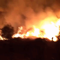 Firefighters Battle Large Blaze as Costa Blanca Wildfire Burns